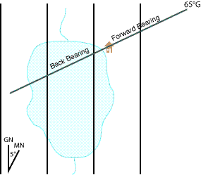 Done: the bearing line crosses the shoreline at your location