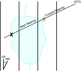 Done: the back bearing crosses the shoreline at your location